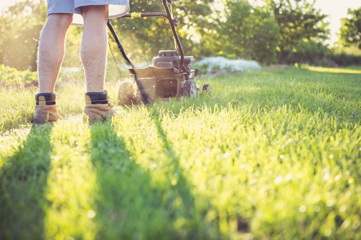 A landscaper mowing a residential lawn
