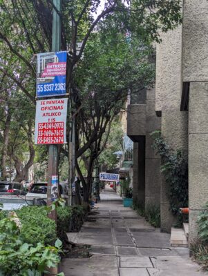 A Se Rentan Oficinas sign with phone numbers tied to a pole on a tree-lined Mexico City sidewalk